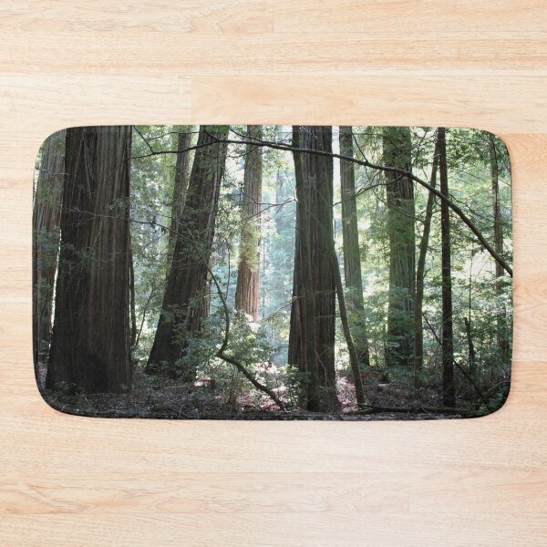 Item preview, Humboldt Cathedral designed and sold by Photos by Michael J. Mesmer.