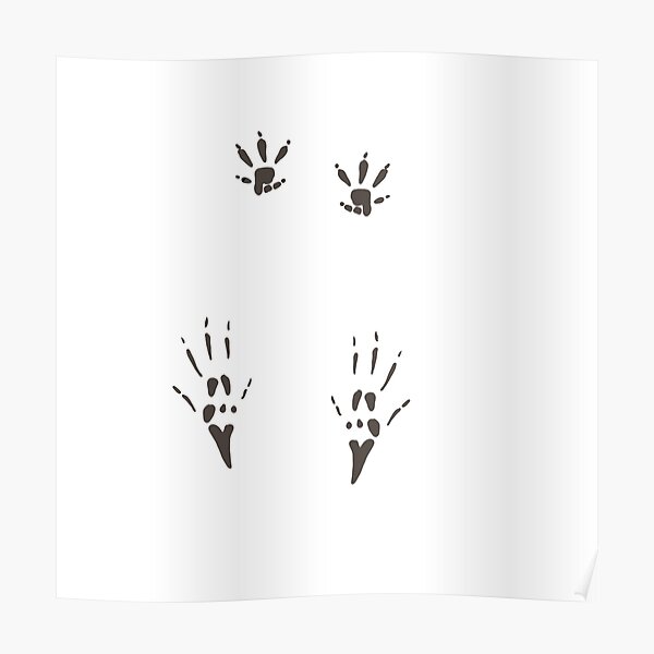 "Rat Paw Prints" Poster for Sale by ArtByDecember Redbubble