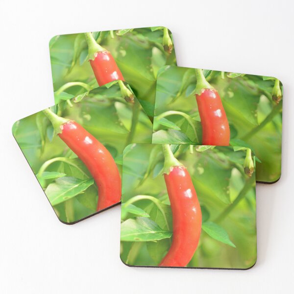 Item preview, Red cayenne plant in the urban garden designed and sold by wineandwords.