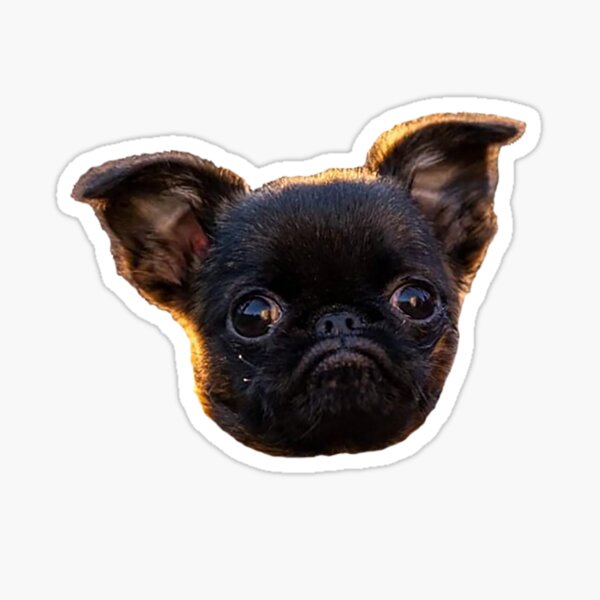 Young Dottie the Dwarf Sticker