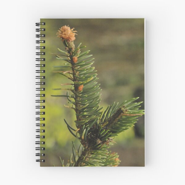 Item preview, Pine twig in the forest  designed and sold by wineandwords.