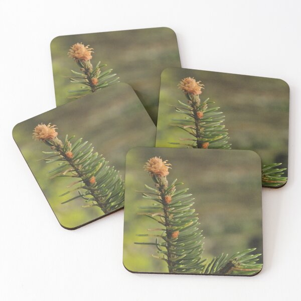 Item preview, Pine twig in the forest  designed and sold by wineandwords.