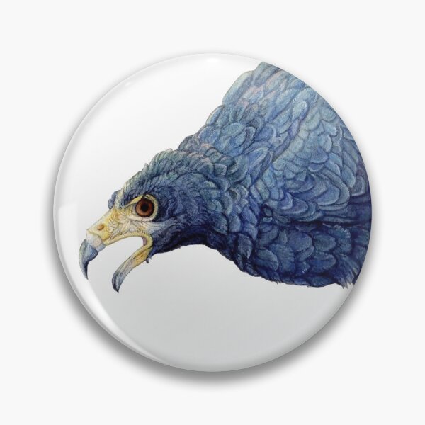 Artikelvorschau, Volleyball Hawk # 13 - Common Black Hawk entworfen und verkauft von R.A. Faller.