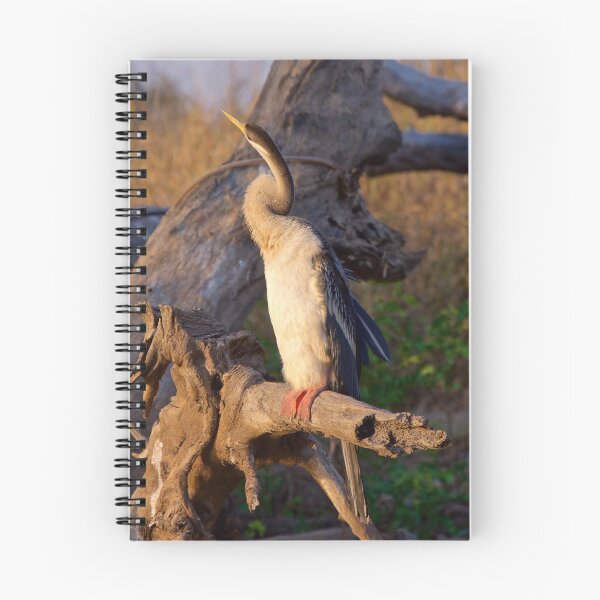 Item preview, NT ~ MARINE BIRD ~ Australasian Darter NCCQLU9B by David Irwin 15012021 designed and sold by tasmanianartist.