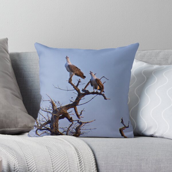 NT ~ RAPTOR ~ White-bellied Sea-Eagle M2VRBM3A4 by David Irwin 15012021 Throw Pillow