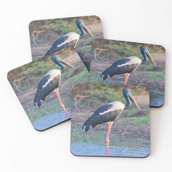 Item preview, NT ~ STORK ~ Black-necked Stork ~ Jabiru 76ih58dL by David Irwin 15012021 designed and sold by tasmanianartist.