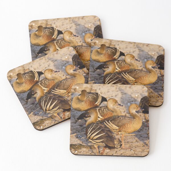 Item preview, NT ~ WATERFOWL ~ Plumed Whistling-Duck 4EFFJ87H by David Irwin 15012021 designed and sold by tasmanianartist.