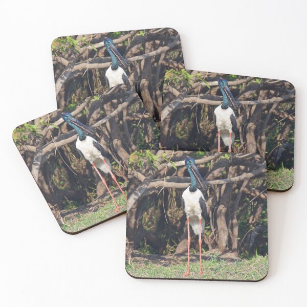 Item preview, NT ~ STORK ~ Black-necked Stork ~ Jabiru gJVx7uZG by David Irwin 15012021 designed and sold by tasmanianartist.