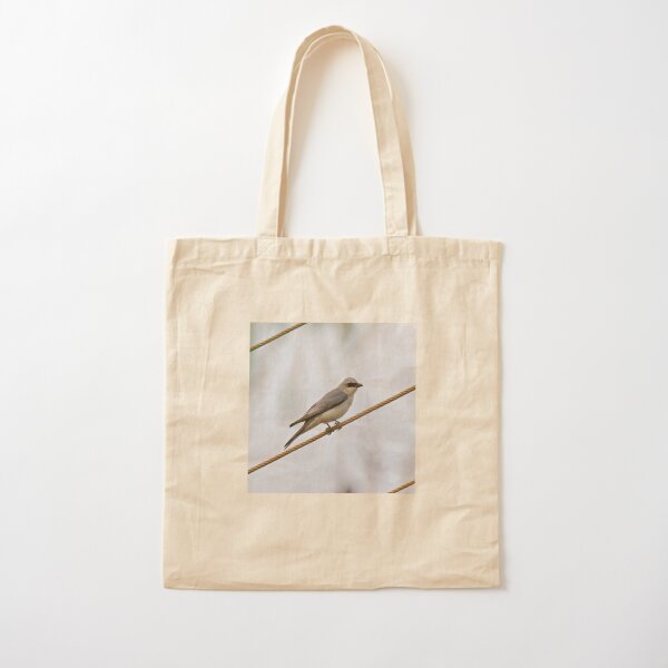 NT ~ CUCKOOSHRIKE ~White-bellied Cuckooshrike H46BFP3S by David Irwin 15012021 Cotton Tote Bag