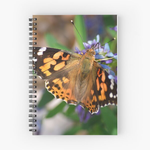 Item preview, Painted Lady Butterfly designed and sold by BryanDevon.