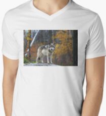 Timber Wolf Men's V-Neck T-Shirt