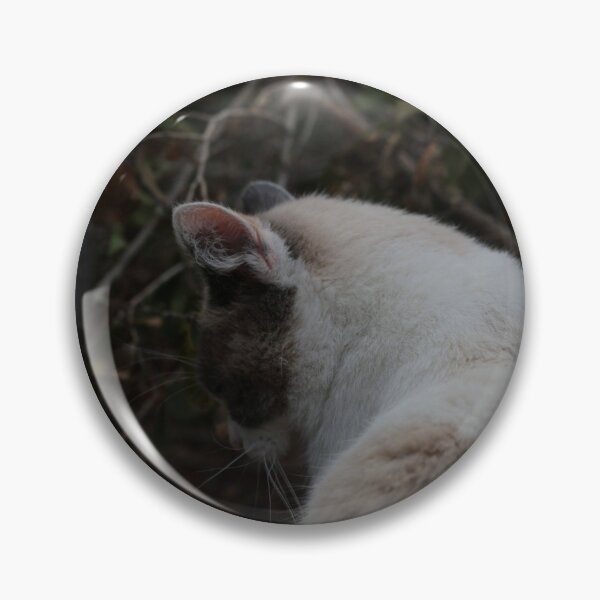 Item preview, Dramatic Cat in Autumn designed and sold by Lucas-Evans.