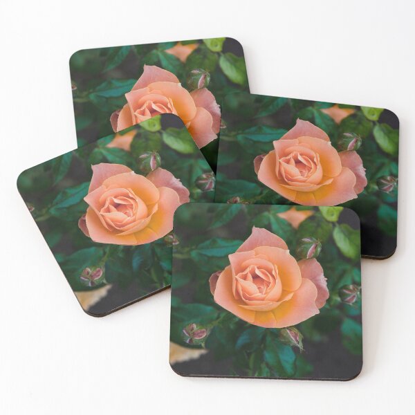 Item preview, Rose By Any Other Name designed and sold by Lawrence  Knutsson.