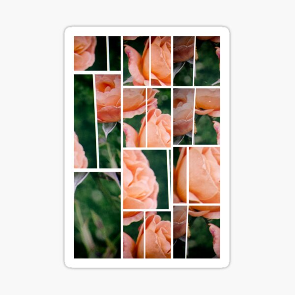 Cubist Rose Sticker