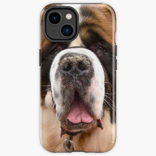 St Bernard dog - ready for a hug! iPhone Tough Case