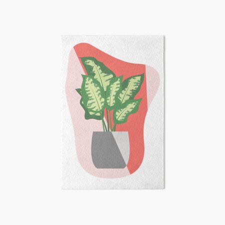 House Plant Friends | Chinese evergreen Art Board Print