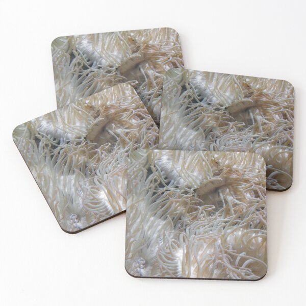 Item preview, Anemone designed and sold by bcash.
