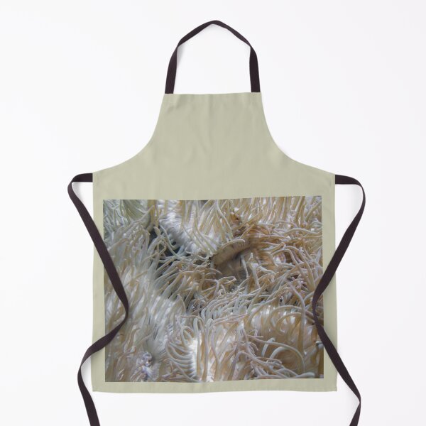 Item preview, Anemone designed and sold by bcash.