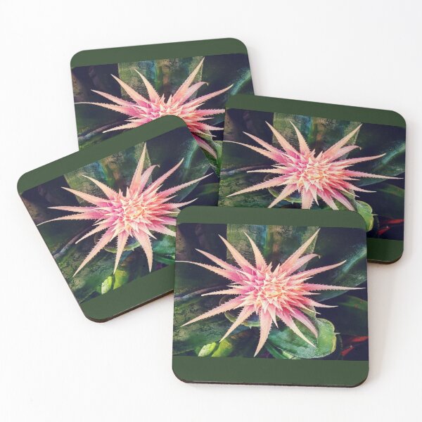 Item preview, Bromeliad  designed and sold by Loren Vanzella Photographer.