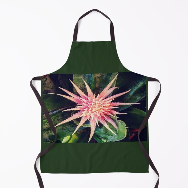Item preview, Bromeliad designed and sold by Loren Vanzella Photographer.