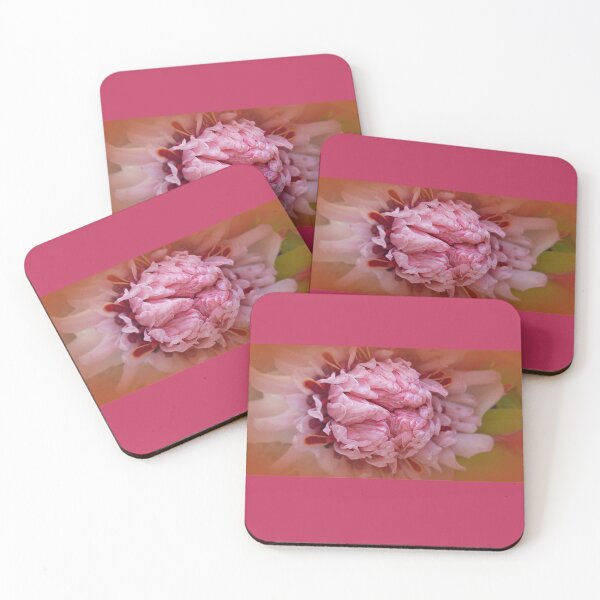 Item preview, Ginger Frosted Pink designed and sold by Loren Vanzella Photographer.