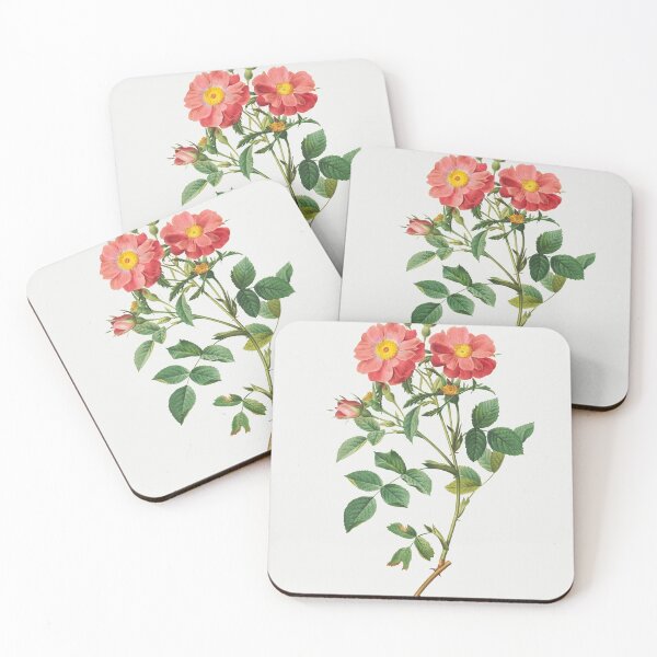 Item preview, Queen Elizabeth's Sweetbriar, Rosehip of Queen Elizabeth designed and sold by PattyStudio.