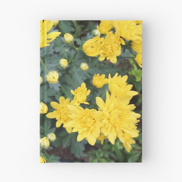 Artikelvorschau, Gelbe Dahlienblumen entworfen und verkauft von Sinemathk.