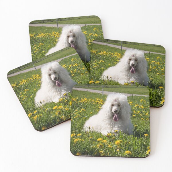 Item preview, white dog royal poodle lying on green grass designed and sold by nataliavavilina.