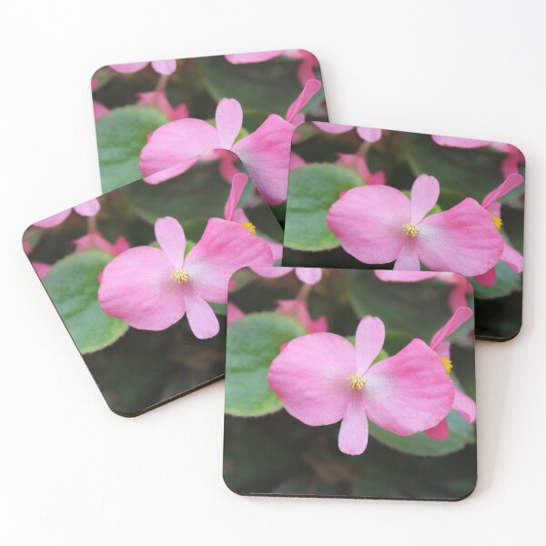 Aperçu de l'œuvre Gros plan de fleur rose créée et vendue par Sinemathk.
