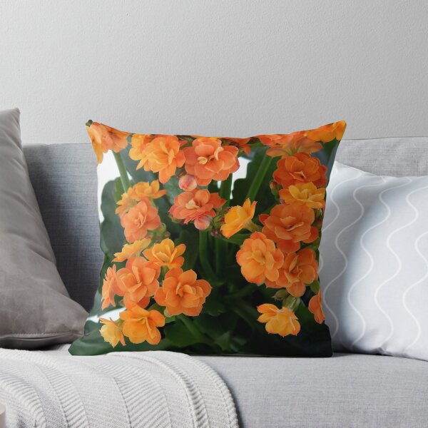 Item preview, Orange Kalanchoe Succulent Flowers designed and sold by GothicGlitter.