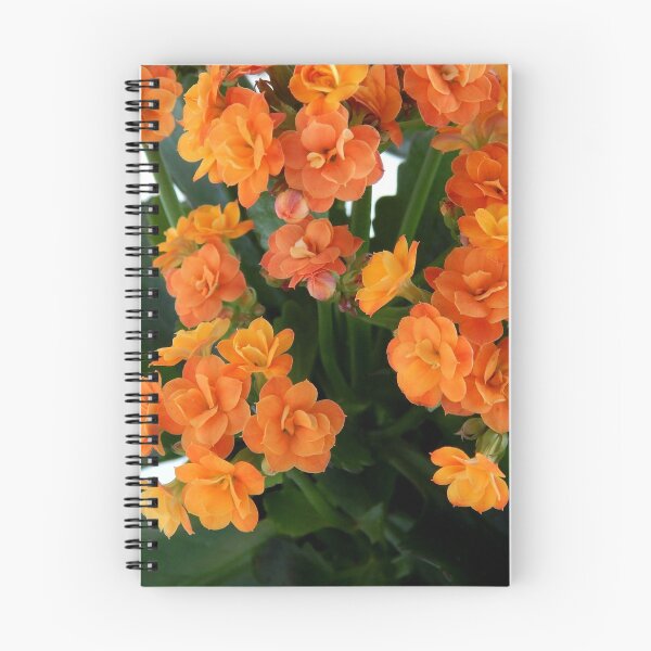Artikelvorschau, Orange Kalanchoe Sukkulente Blumen entworfen und verkauft von GothicGlitter.