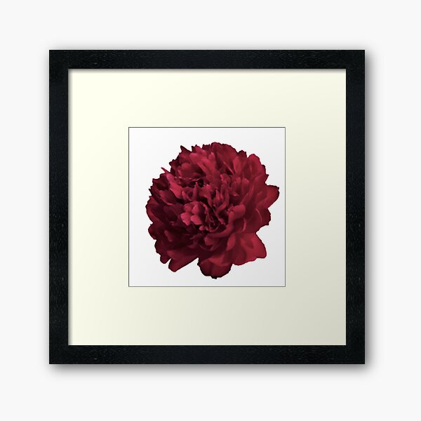Item preview, Red Peony in Full Bloom Close-up designed and sold by InalterataArt.