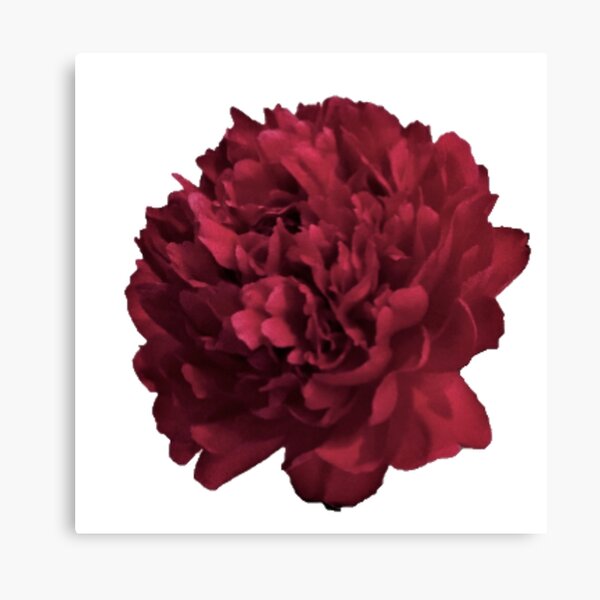 Item preview, Red Peony in Full Bloom Close-up designed and sold by InalterataArt.