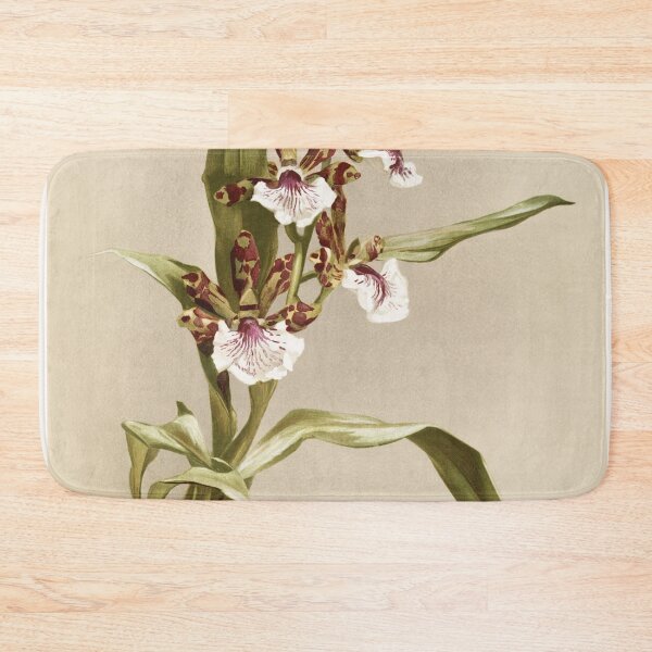 Item preview, Reichenbachia: Orchids Illustrated and Described designed and sold by EsotericBotanic.