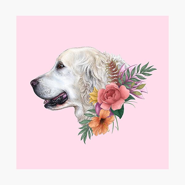 White Golden Retriever Profile With Flowers Photographic Print