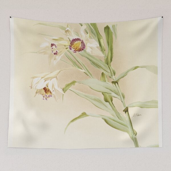 Item preview, Reichenbachia: Orchids Illustrated and Described designed and sold by EsotericBotanic.