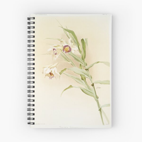 Item preview, Reichenbachia: Orchids Illustrated and Described designed and sold by EsotericBotanic.