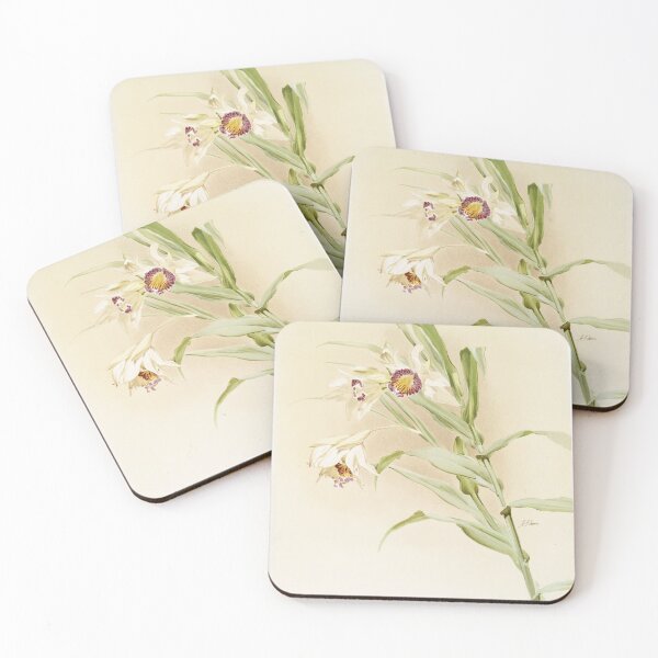 Item preview, Reichenbachia: Orchids Illustrated and Described designed and sold by EsotericBotanic.