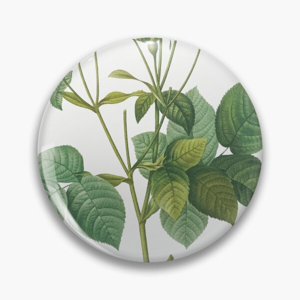 Item preview, Les Roses by Pierre-Joseph Redouté designed and sold by EsotericBotanic.