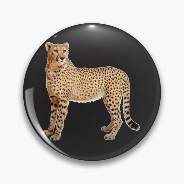 Item preview, Cheetah Cheetah 08 designed and sold by WalkingInNature.