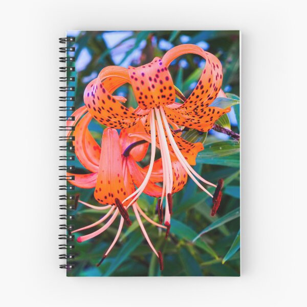 Aperçu de l'œuvre Fleur, orchidée créée et vendue par Mayos21.