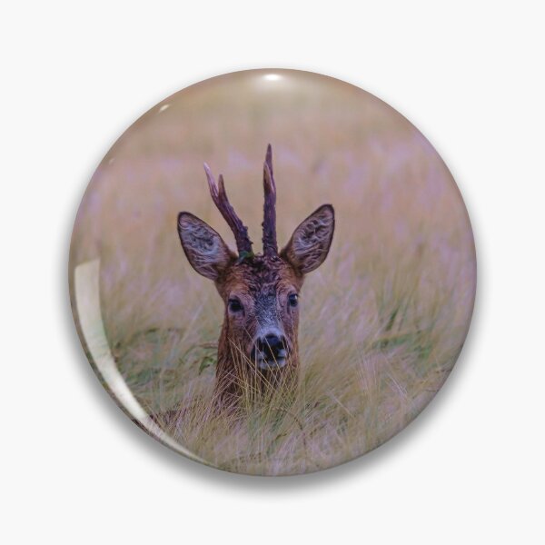 Item preview, A deer in the field designed and sold by Mayos21.