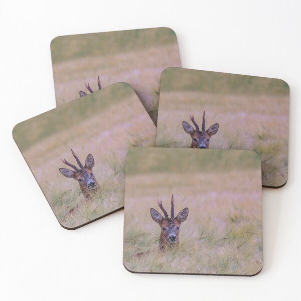Item preview, A deer in the field designed and sold by Mayos21.