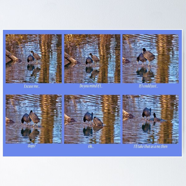 Item preview, I'll take that as a no, then designed and sold by Mark Bangert.