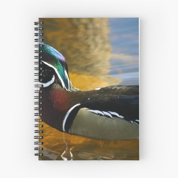 Item preview, WOOD DUCK II designed and sold by fsmitchellphoto.