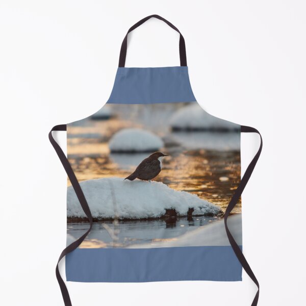 Item preview, White-throated dipper in the evening light designed and sold by Jouko Lehto Photography.