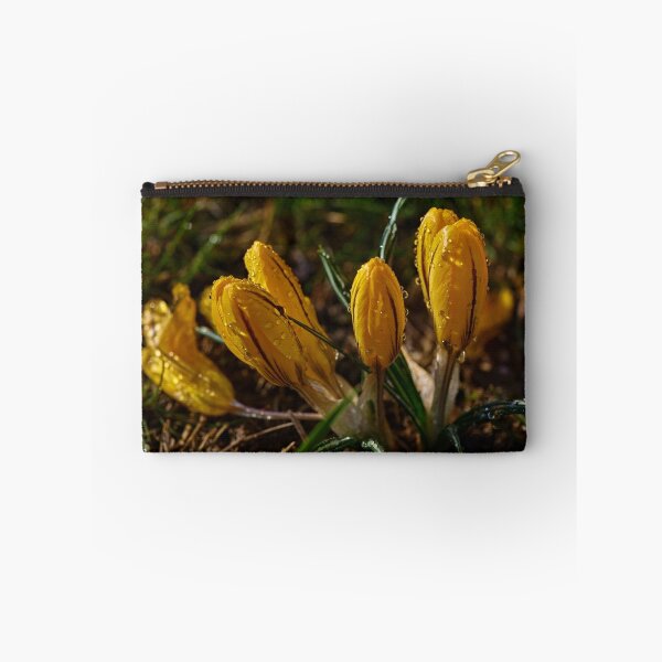 Item preview, Crocuses designed and sold by Mark Bangert.