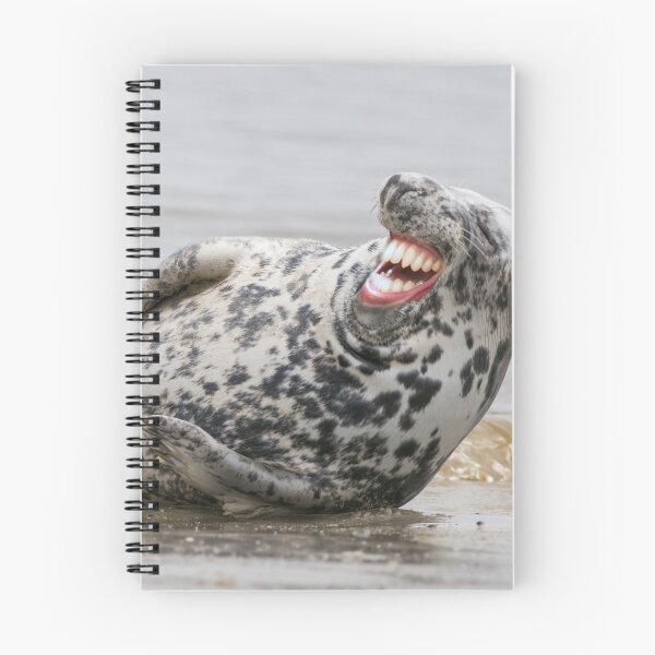 Item preview, Laughing seal designed and sold by Ingo Gerlach.