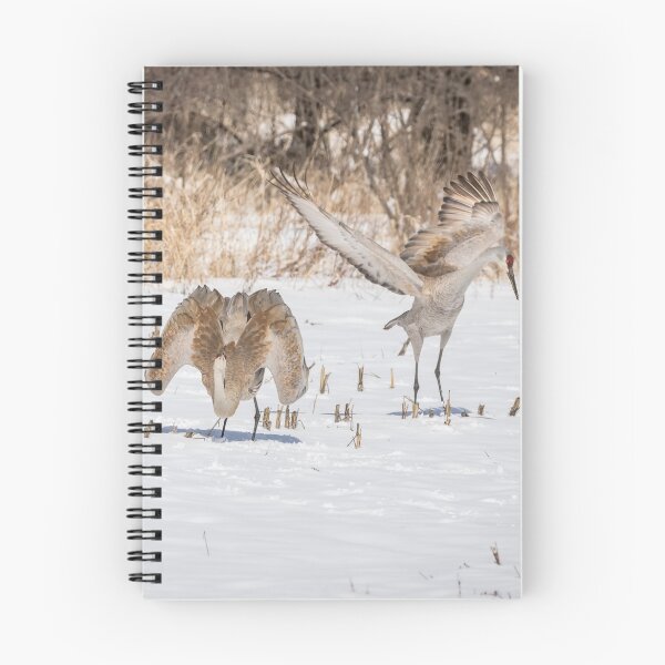 Item preview, Dancing Sandhill Cranes 2016-1 designed and sold by Thomasyoung.