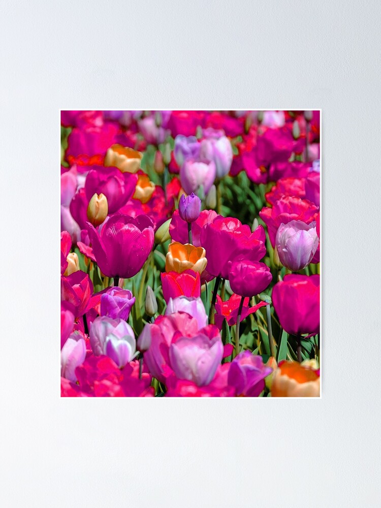 "Bright Flowers Bed, Home Decorations and Outfits Gift Idea. (Various